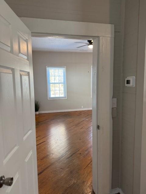 interior space with dark hardwood / wood-style floors