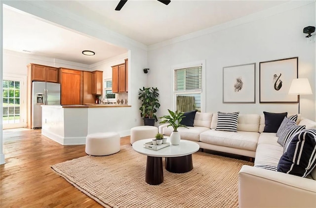 living area featuring crown molding, light wood finished floors, and a ceiling fan