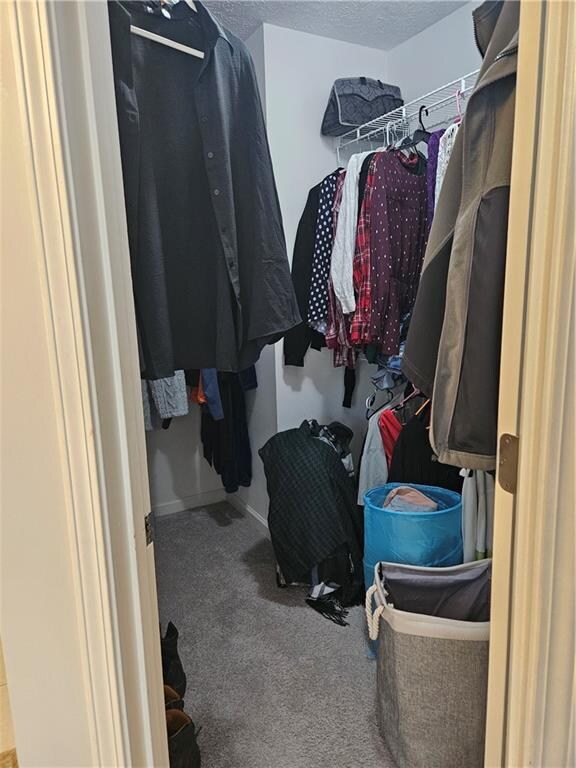 spacious closet with carpet