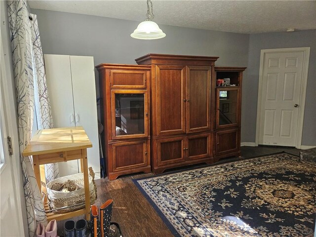 interior space featuring dark hardwood / wood-style floors and a textured ceiling