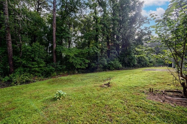 3645 Shrewsbury Ct, Snellville, GA 30039 - view of grassy yard featuring a forest view