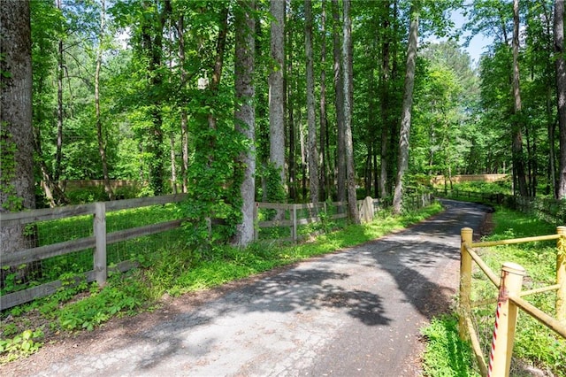view of street with a wooded view
