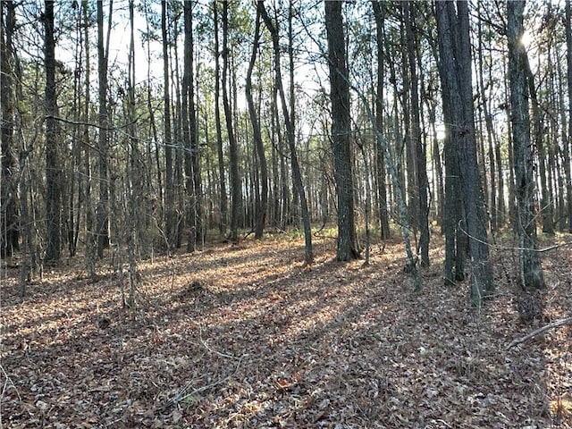 0 Buttermilk Rd, Cave Spring, GA 30124