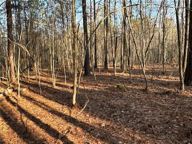 0 Buttermilk Rd, Cave Spring, GA 30124