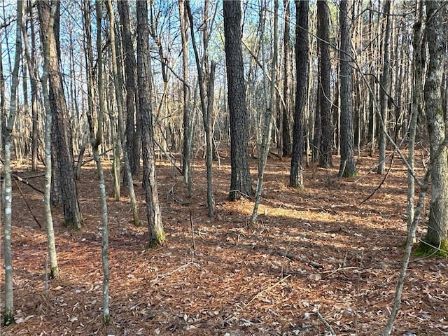 0 Buttermilk Rd, Cave Spring, GA 30124