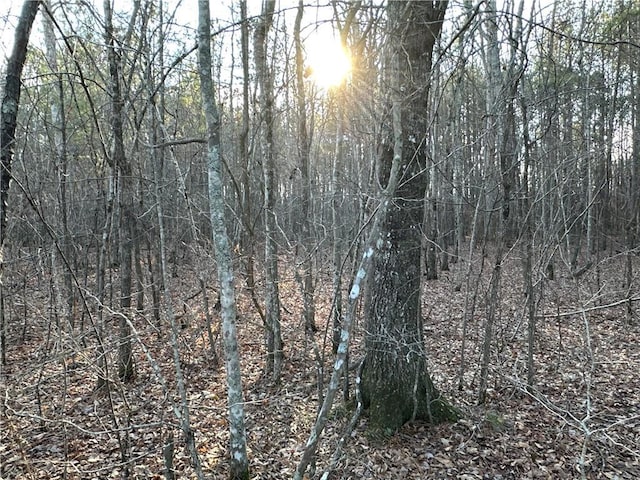 0 Buttermilk Rd, Cave Spring, GA 30124