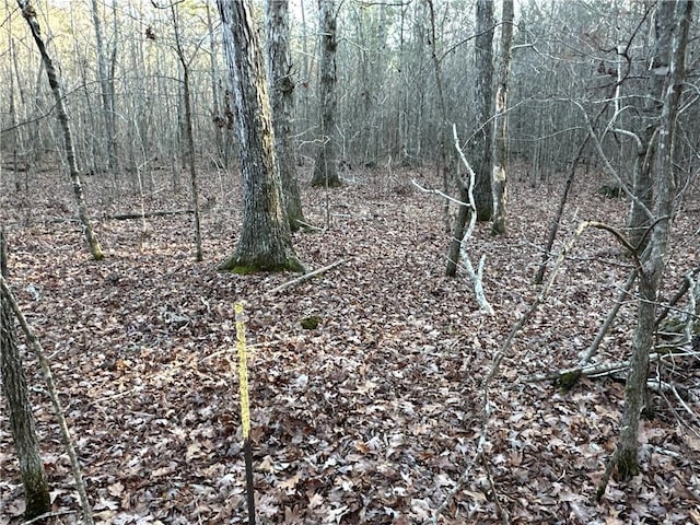 0 Buttermilk Rd, Cave Spring, GA 30124