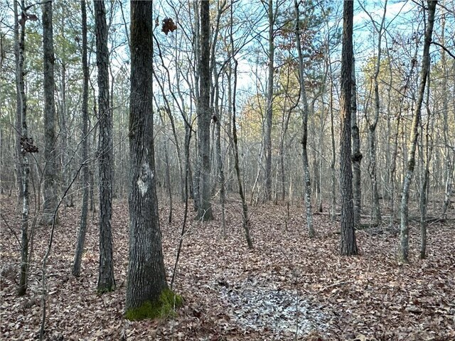 0 Buttermilk Rd, Cave Spring, GA 30124