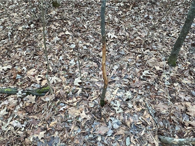 0 Buttermilk Rd, Cave Spring, GA 30124