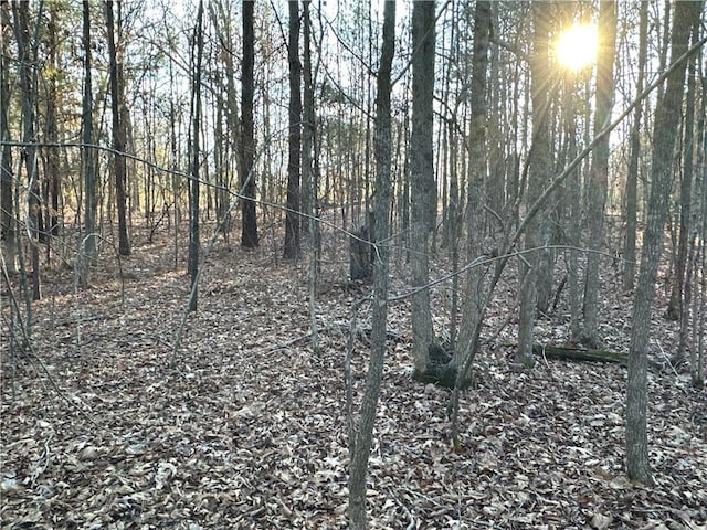 0 Buttermilk Rd, Cave Spring, GA 30124