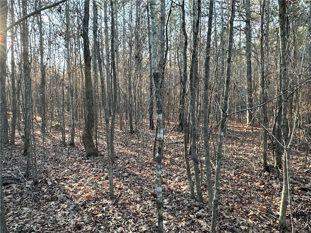 0 Buttermilk Rd, Cave Spring, GA 30124
