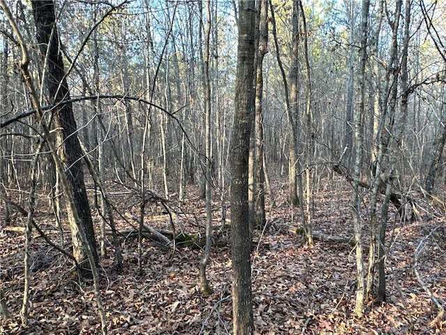 0 Buttermilk Rd, Cave Spring, GA 30124