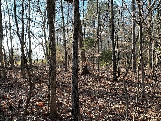 0 Buttermilk Rd, Cave Spring, GA 30124