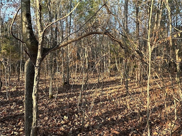 0 Buttermilk Rd, Cave Spring, GA 30124