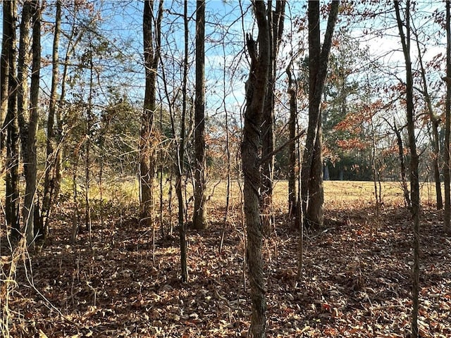 0 Buttermilk Rd, Cave Spring, GA 30124
