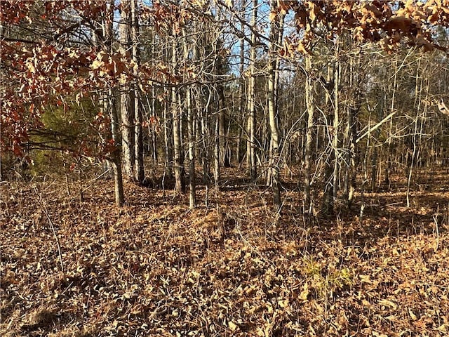 0 Buttermilk Rd, Cave Spring, GA 30124