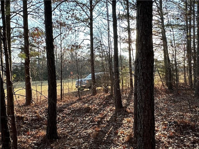 0 Buttermilk Rd, Cave Spring, GA 30124