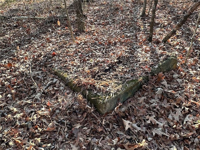 0 Buttermilk Rd, Cave Spring, GA 30124