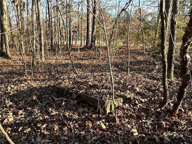0 Buttermilk Rd, Cave Spring, GA 30124
