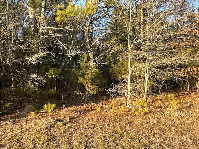 0 Buttermilk Rd, Cave Spring, GA 30124