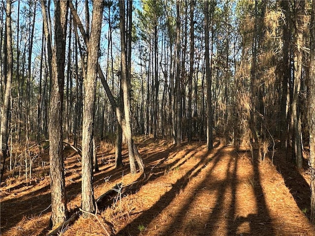 0 Buttermilk Rd, Cave Spring, GA 30124