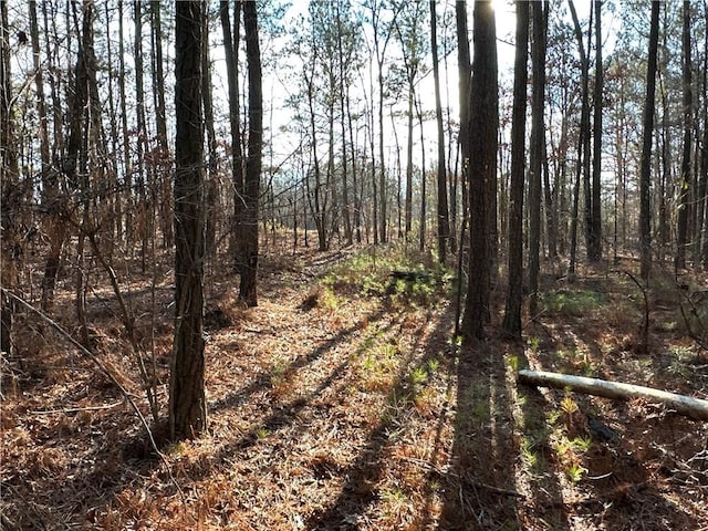 0 Buttermilk Rd, Cave Spring, GA 30124