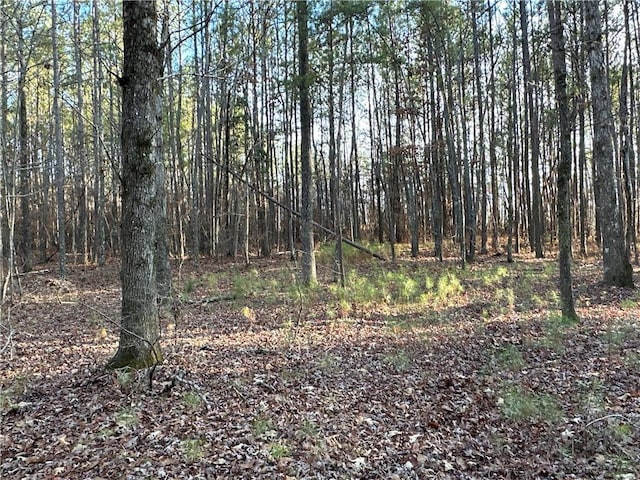 0 Buttermilk Rd, Cave Spring, GA 30124