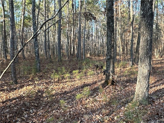 0 Buttermilk Rd, Cave Spring, GA 30124