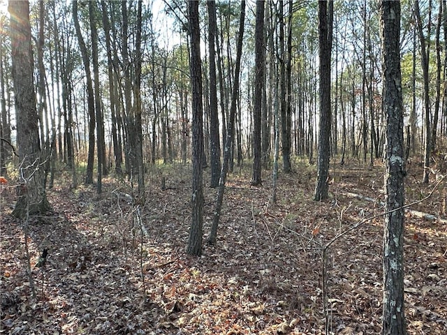 0 Buttermilk Rd, Cave Spring, GA 30124