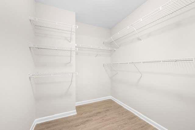 walk in closet featuring hardwood / wood-style floors