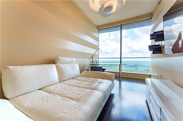 bedroom featuring wood finished floors and floor to ceiling windows
