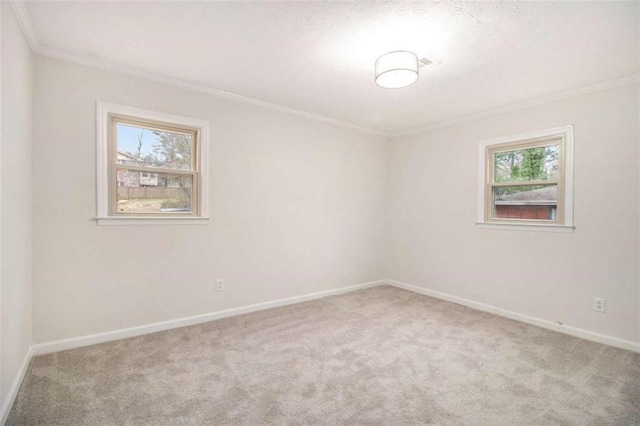 spare room featuring light colored carpet and ornamental molding