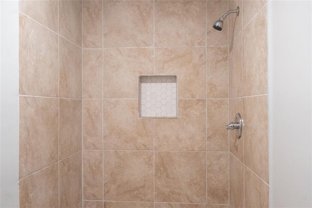 room details with tiled shower