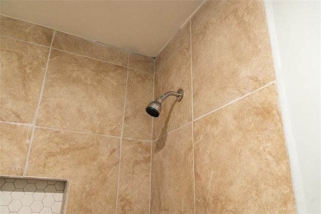 room details with a tile shower