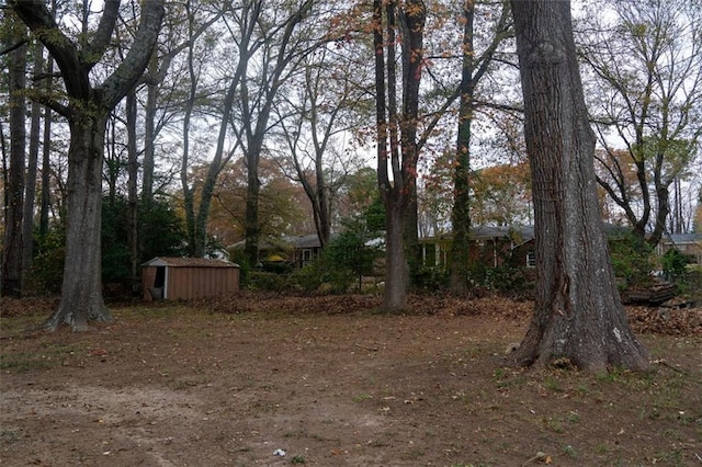 view of yard with an outbuilding and a shed