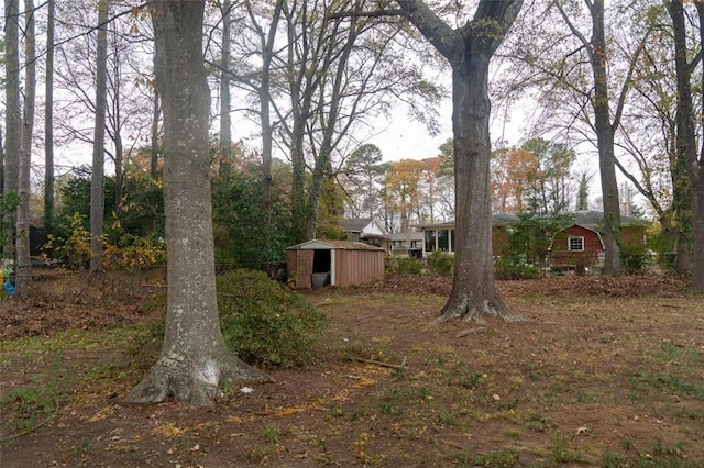 view of yard featuring an outdoor structure and a storage unit