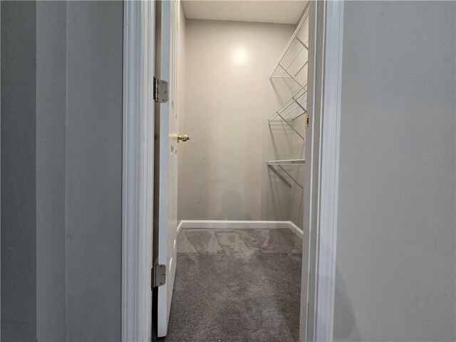 3773 Summer Rose Dr, Atlanta, GA 30341 - walk in closet with carpet floors