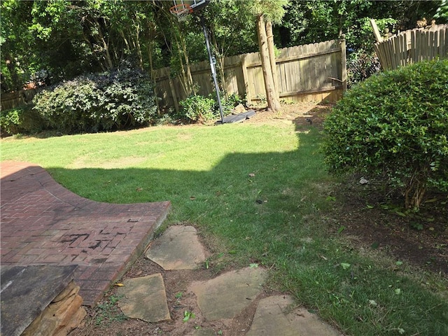 3773 Summer Rose Dr, Atlanta, GA 30341 - view of yard with a patio