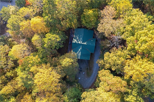 drone / aerial view with a forest view