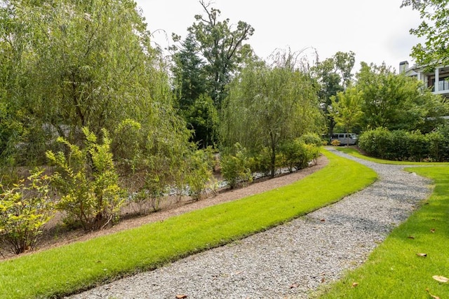 3734 Paige Way NE Unit 10, Atlanta, GA 30319 - surrounding community featuring gravel driveway