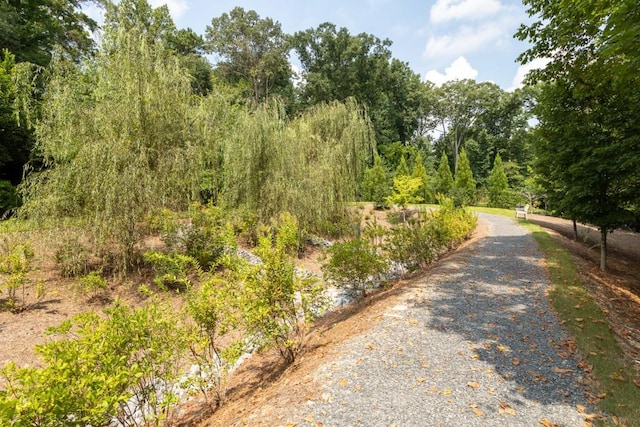 3734 Paige Way NE Unit 10, Atlanta, GA 30319 - view of road with a wooded view