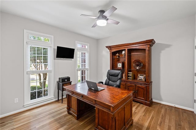 14270 Morning Mountain Way, Milton, GA 30004 - office with light wood-type flooring, a ceiling fan, and healthy amount of natural light