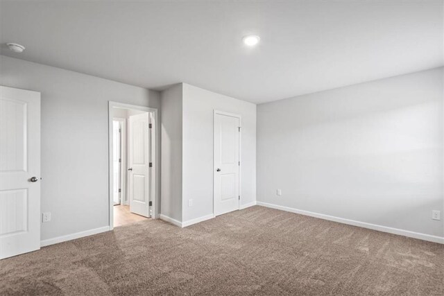 spacious closet with carpet