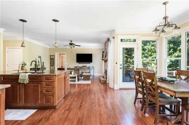 kitchen featuring pendant lighting, dark hardwood / wood-style flooring, sink, and stone counters