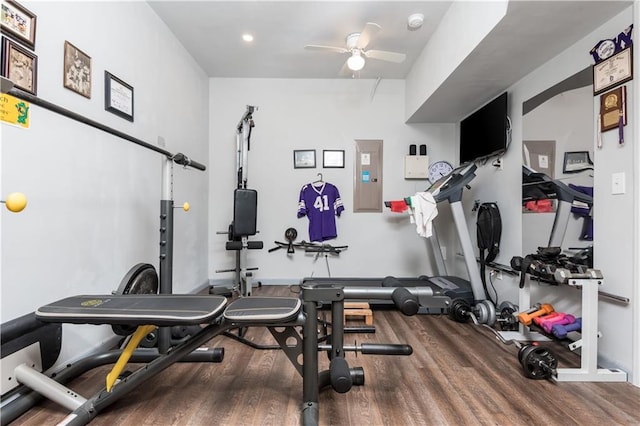 exercise room featuring hardwood / wood-style floors, electric panel, and ceiling fan