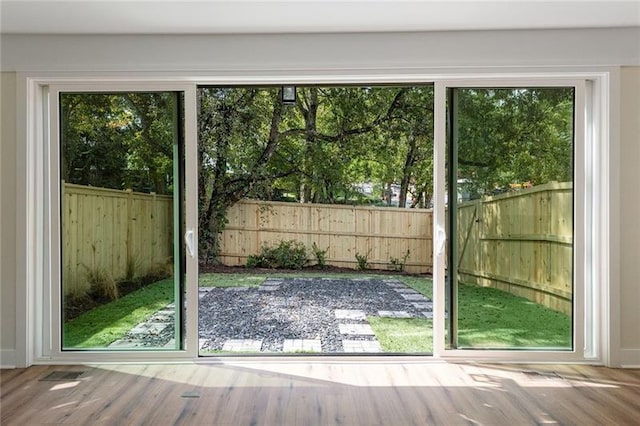 entryway featuring wood-type flooring