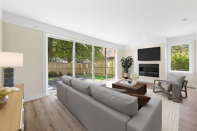 living room with light hardwood / wood-style flooring