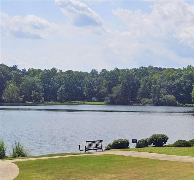 view of water feature