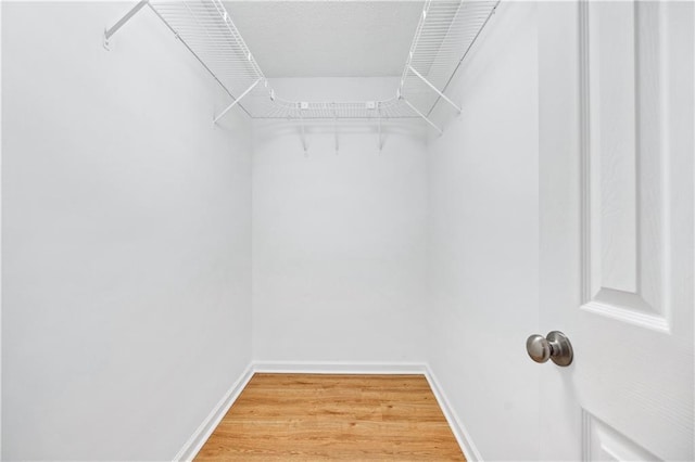 spacious closet featuring hardwood / wood-style floors