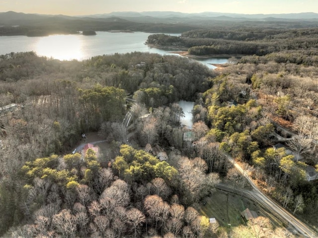 LT3 Hideaway Pl, Morganton GA, 30560 land for sale